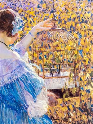 猫媳妇重生txt书包网免费阅读