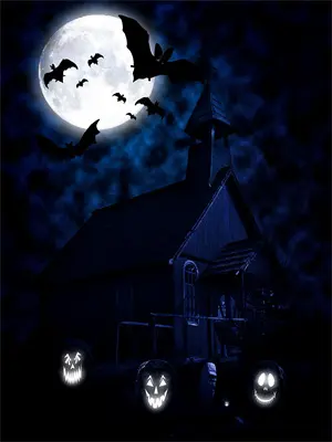 倾尽一生的意思