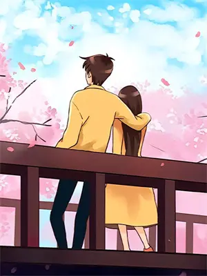 职业替身 电视剧简介