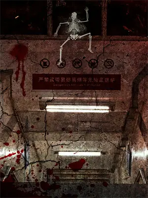 韩娱之星运 小说